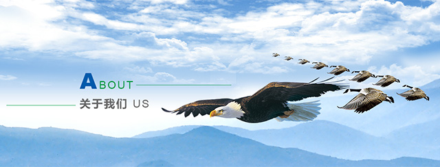 關(guān)于我們