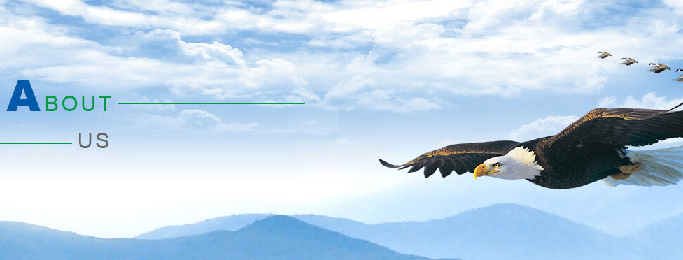 關(guān)于我們