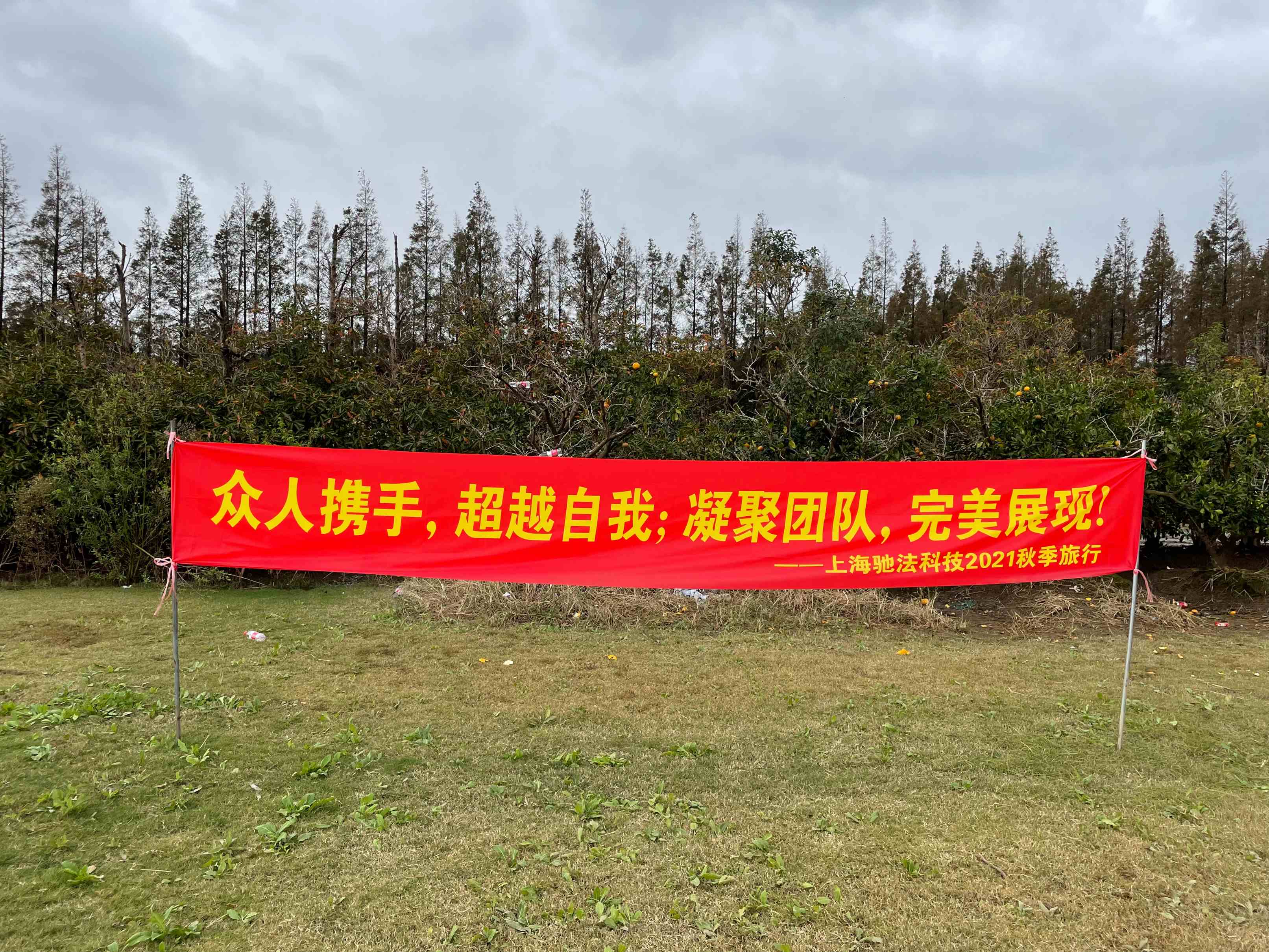 1636514230690548.jpg 1636514230690548.jpg