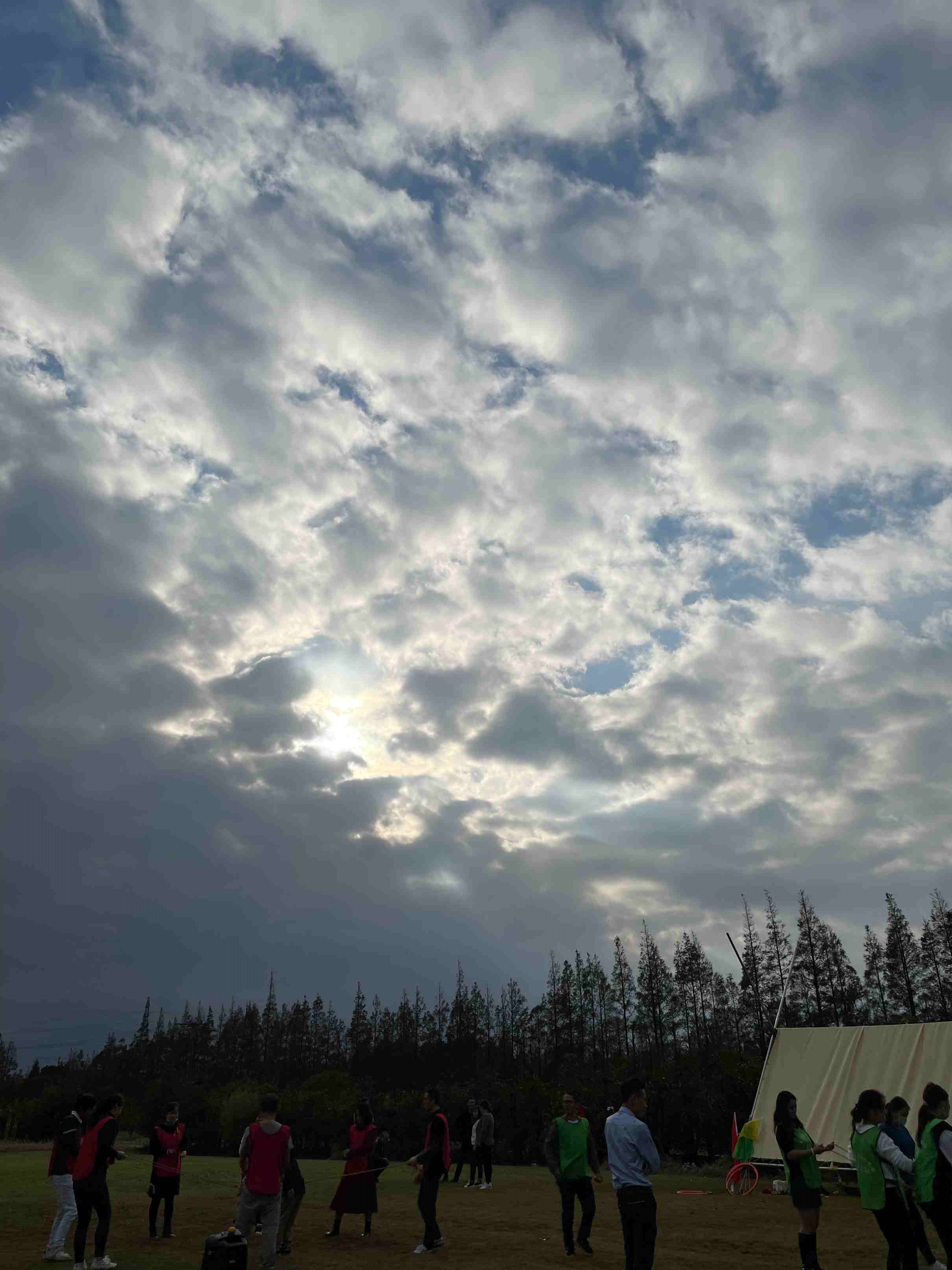 1636514578983335.jpg 1636514578983335.jpg